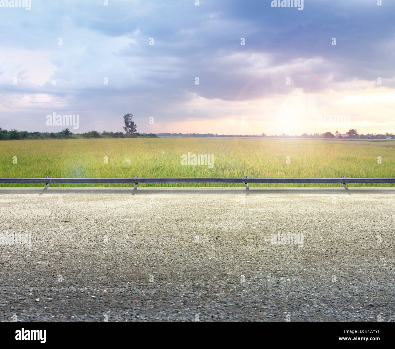 Schönheit Country Road Side View und Reis Hintergrund Stockfoto