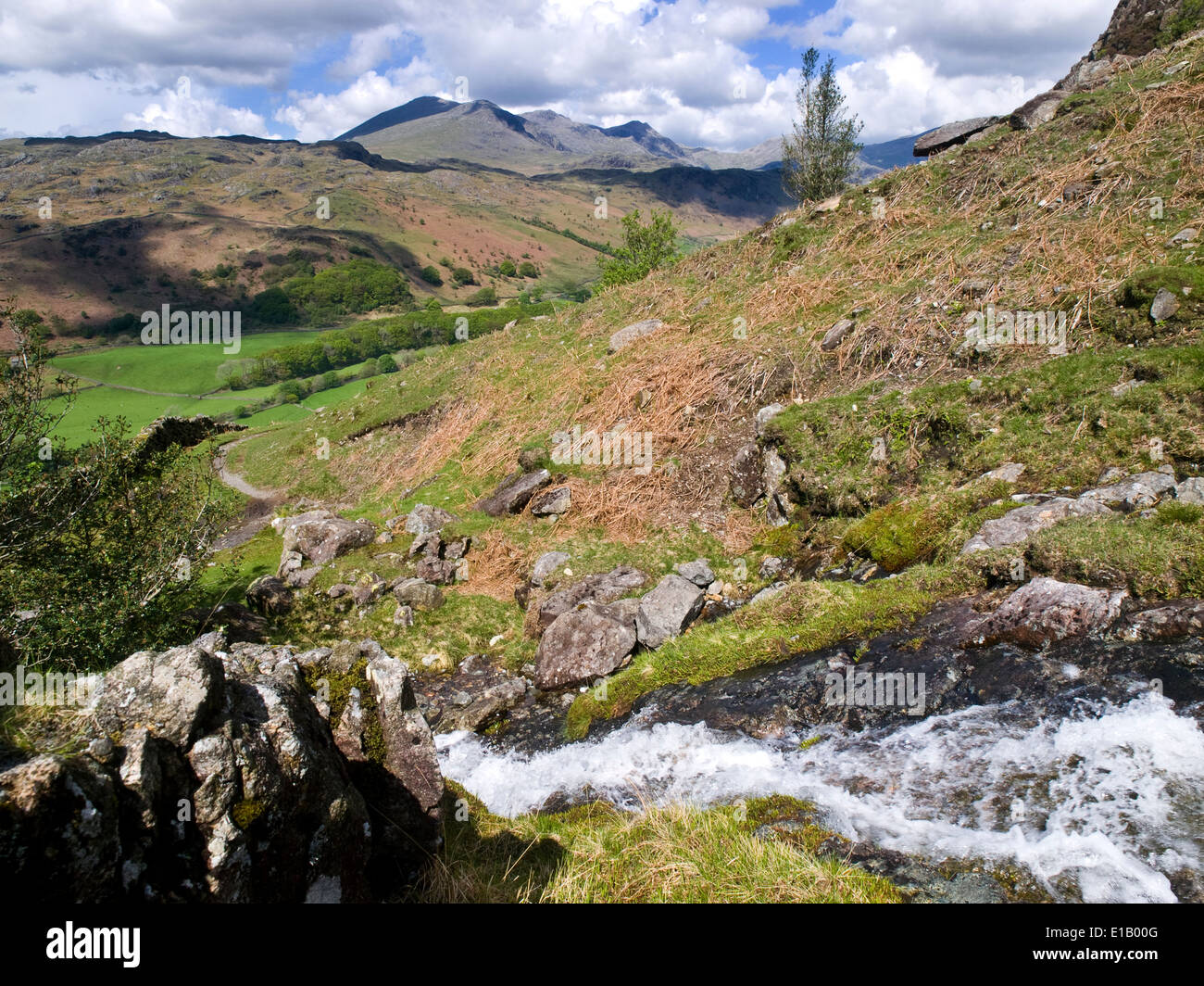 Der Scafell-Gruppe, Englands höchste Berge, gesehen von den unteren Hängen des Harter fiel in Eskdale, Lake District UK Stockfoto