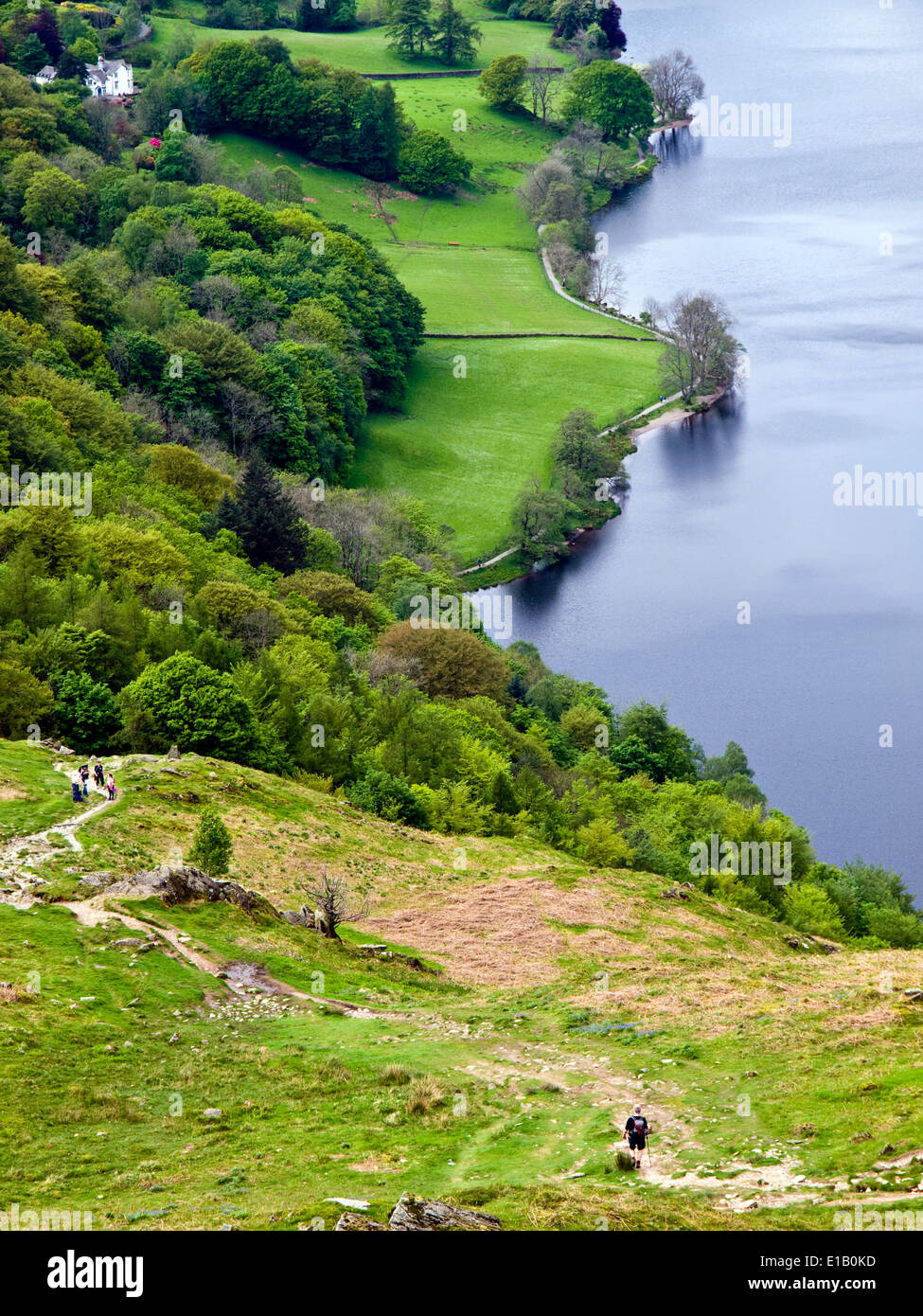 Grasmere im englischen Lake District National Park von loughrigg Fiel gesehen Stockfoto