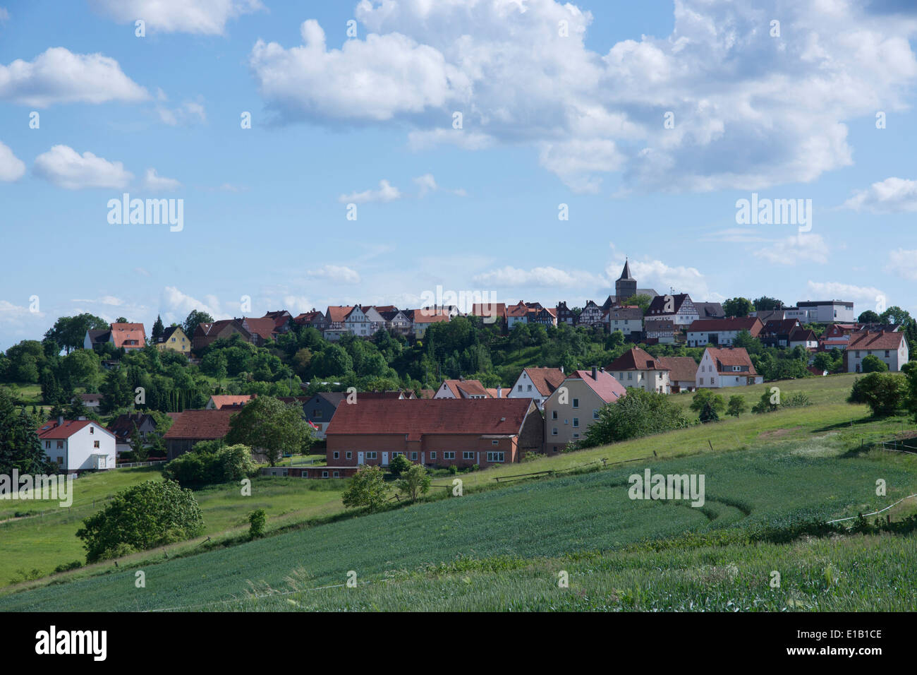 Blick über die sommerlichen Wiesen zum Dorf Waldeck, Hessen, Deutschland, Europa Stockfoto