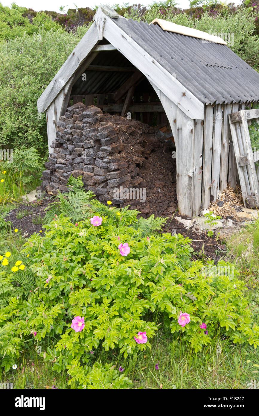 Torf Schuppen, Orkney Inseln Stockfoto