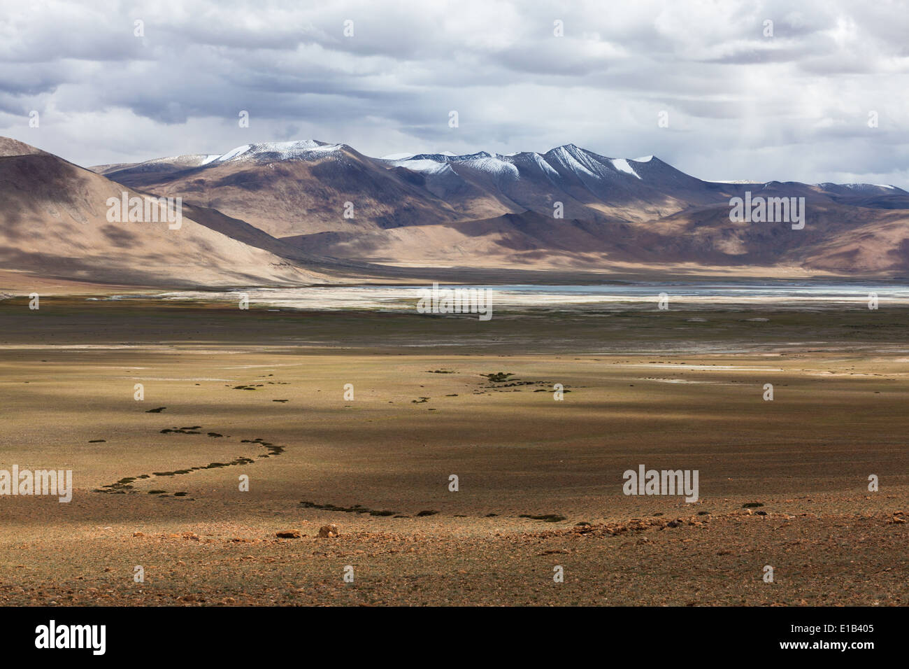 Landschaft in der Region von Tso Kar, Rupshu, Changtang, Ladakh, Jammu und Kaschmir, Indien Stockfoto