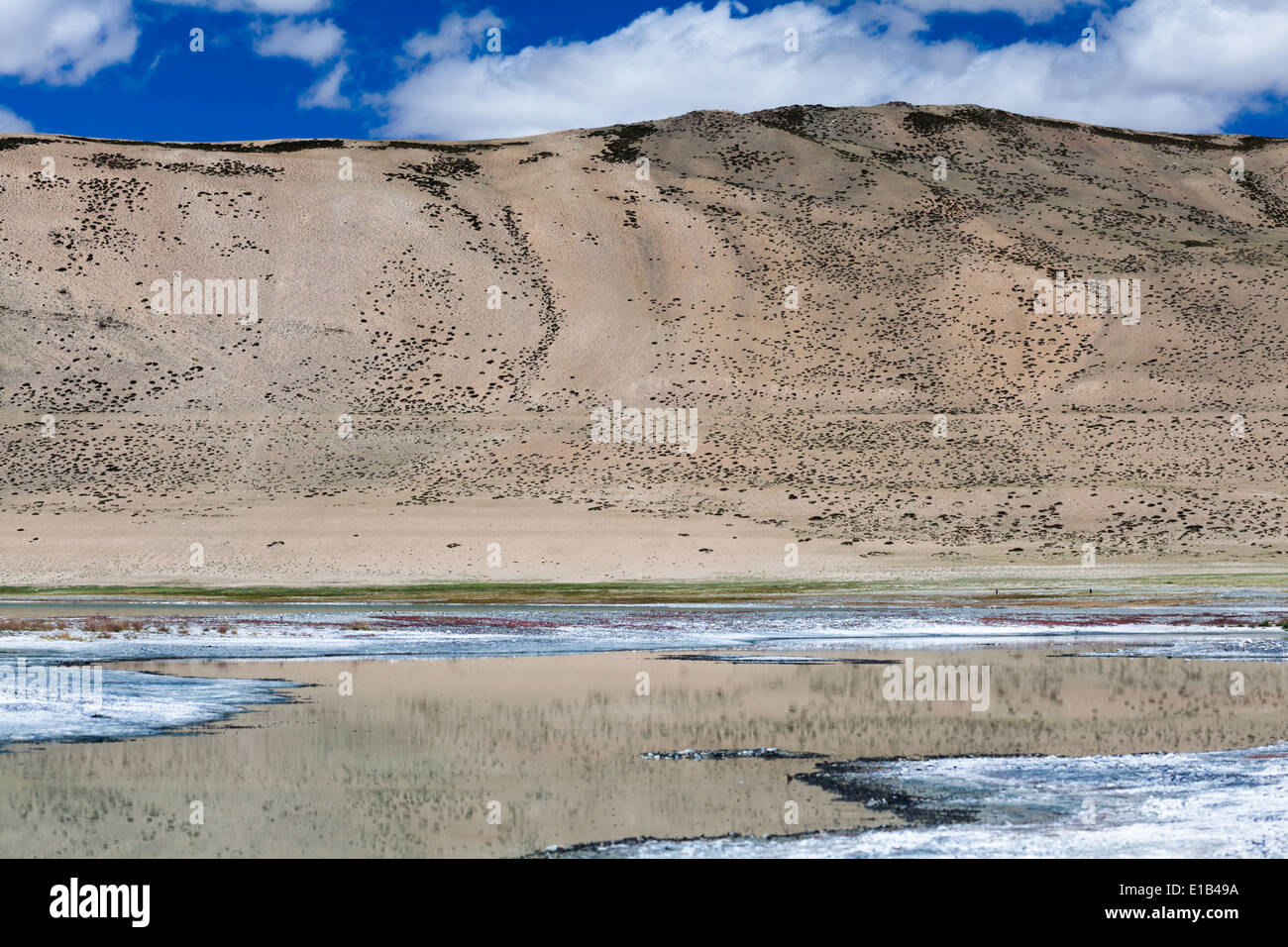 Landschaft in der Region von Salt Lake Tso Kar, Rupshu, Changtang, Ladakh, Jammu und Kaschmir, Indien Stockfoto
