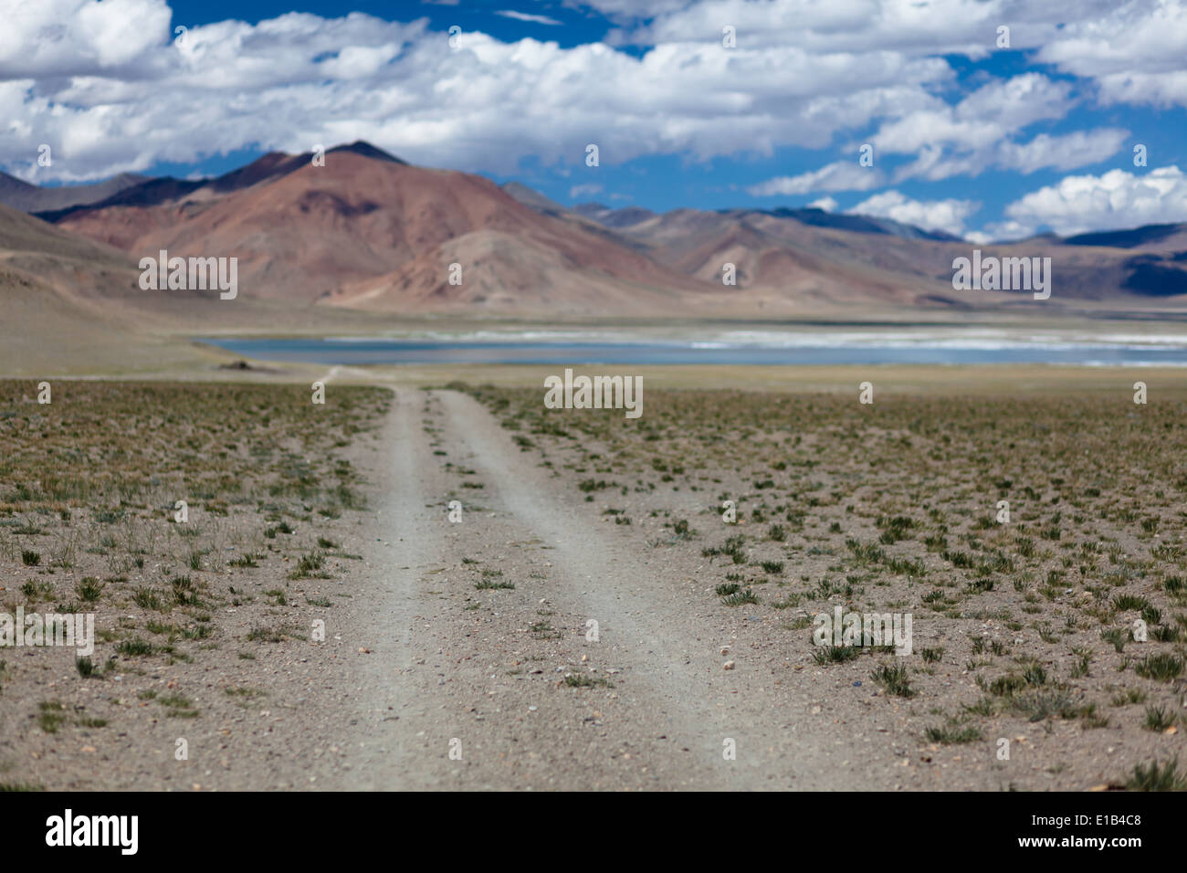 Feldweg in der Region von Salz See Tso Kar, Rupshu, Changtang, Ladakh, Jammu und Kaschmir, Indien Stockfoto