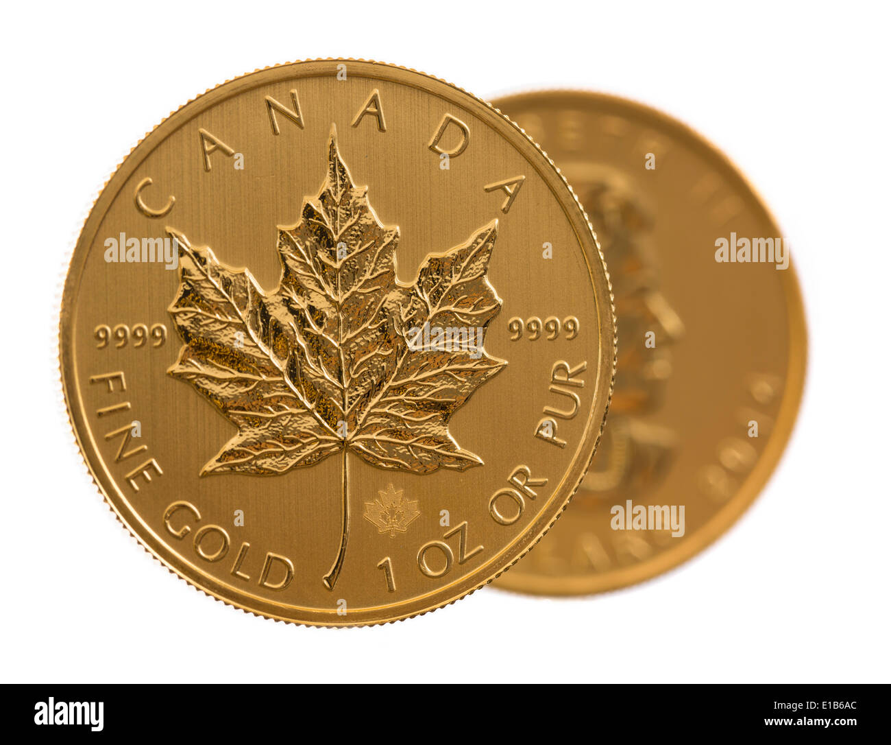Paar gold Maple leaf eine Feinunze Gold Münzen aus kanadischen Treasury in Stempelglanz Zustand Stockfoto