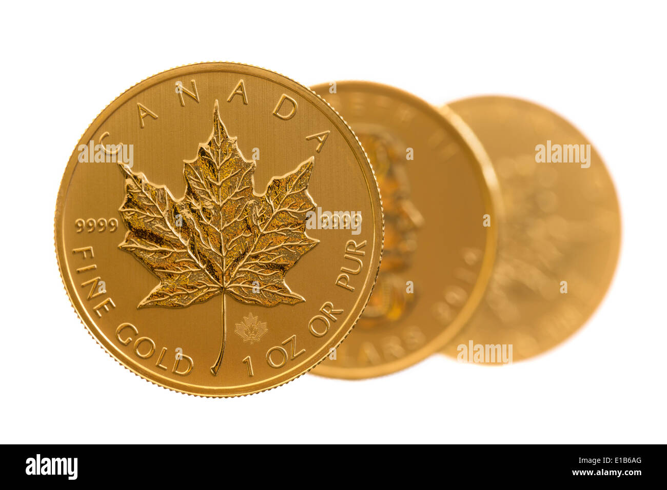 Trio von gold Maple Leaf eine Feinunze Gold Münzen aus kanadischen Treasury in Stempelglanz Zustand Stockfoto