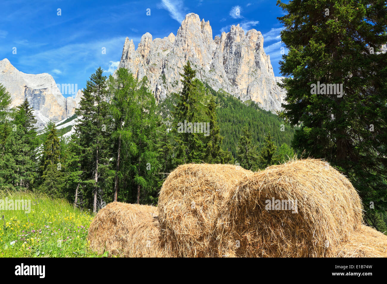 Alm mit Heuballen unter Rosengarten mont, Trentino, Italien Stockfoto