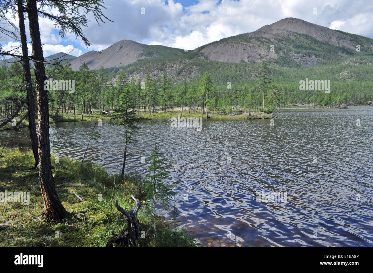 Wasser Sommerlandschaft rund um den Fluss Suntar in das Hochland von Oimjakon, Jakutien, Russland. Stockfoto