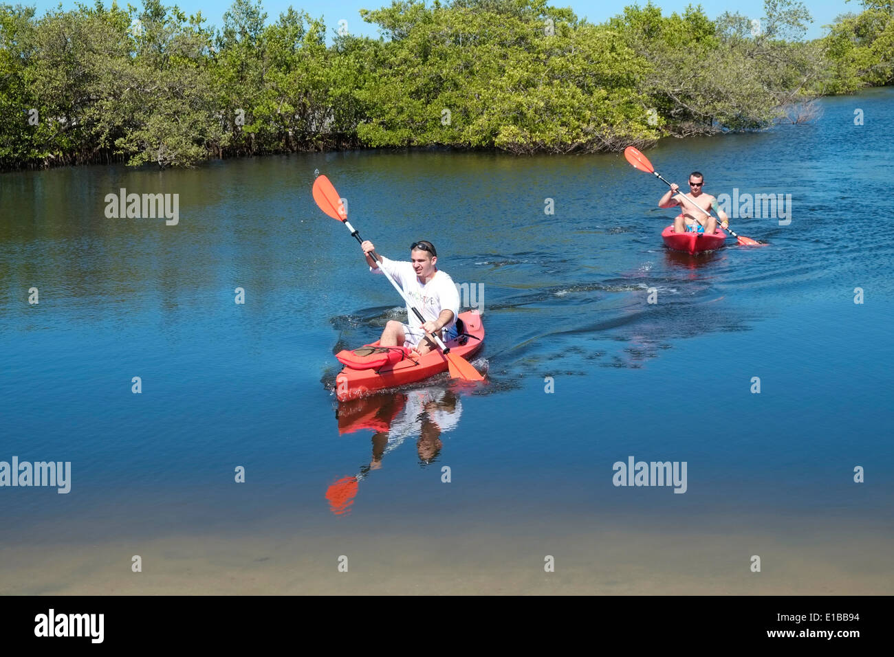 Robinson Preserve Manatee County Bradenton Florida, FL Stockfoto