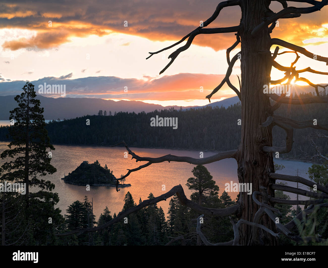 Sonnenaufgang über Emerald Bay mit toten Baum und Fannette Island, Lake Tahoe, Kalifornien. Stockfoto