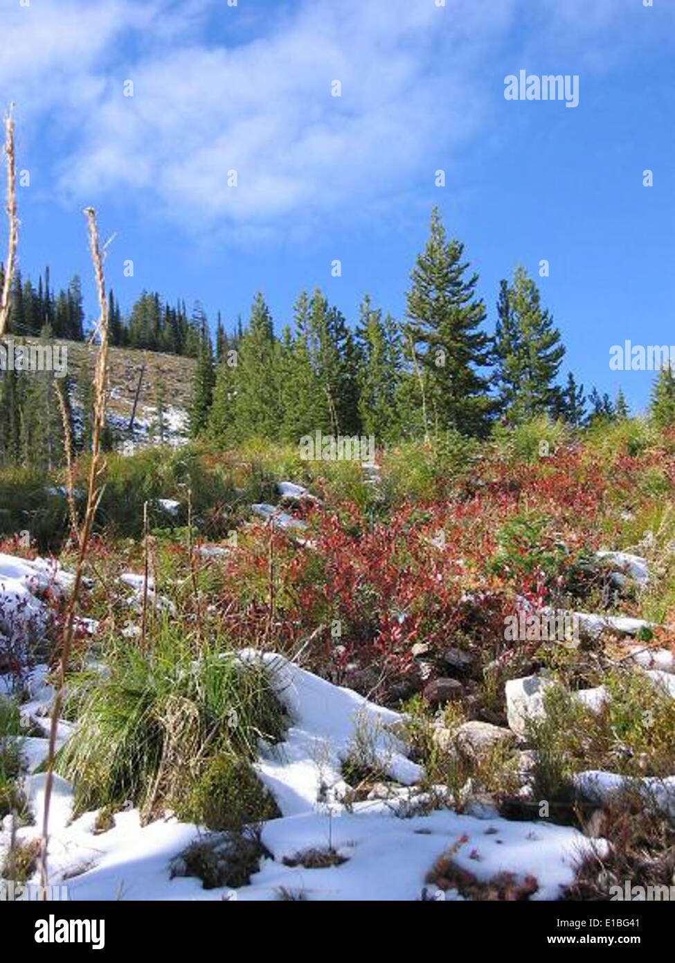 Verlorene Spuren im Herbst Stockfoto