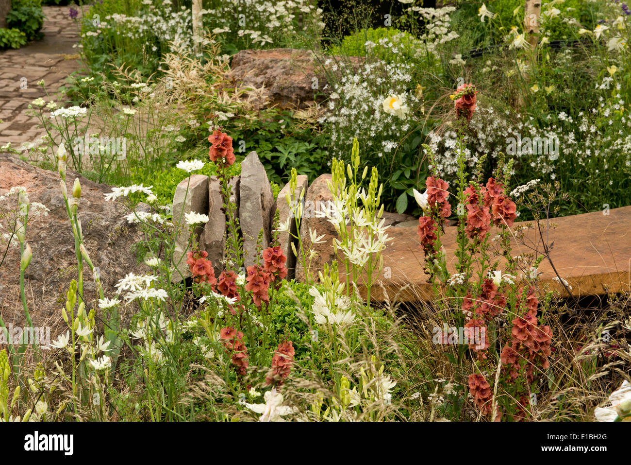 Eine Nahaufnahme von Blumen in The Vital Erde Night Sky Garden auf der Chelsea Flower Show 2014, London, UK Stockfoto