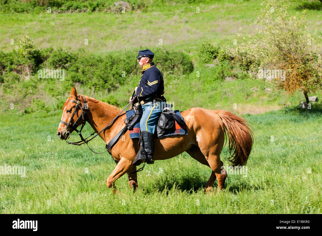 Union Kalvarienberg Reenactor. Stockfoto