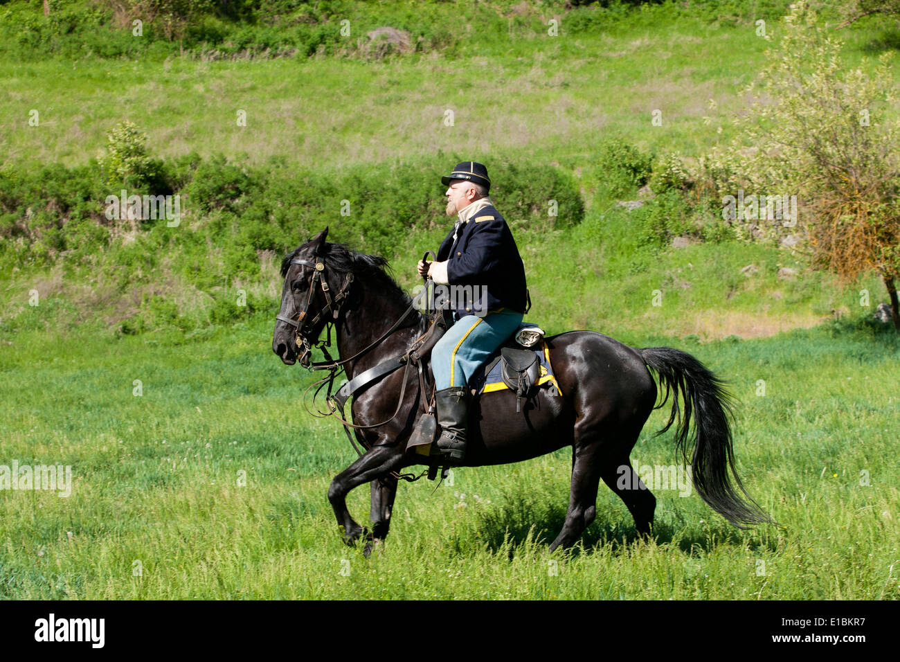 Union Kalvarienberg Reenactor auf Pferd. Stockfoto