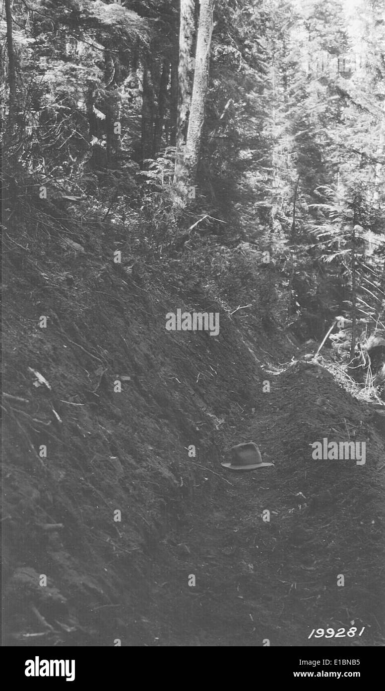 Das Northern Region Archives beherbergt eine umfangreiche Sammlung historischer Fotos, die die Rolle des U.S. Forest Service bei Landbewirtschaftung, Naturschutz und Umweltschutz dokumentieren. Stockfoto
