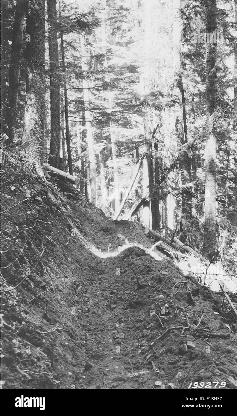 Das Archiv der nördlichen Region beherbergt eine Sammlung historischer und archivischer Fotos, die die Geschichte und Entwicklung der Waldbewirtschaftung und -Erhaltung in der Region dokumentieren. Stockfoto