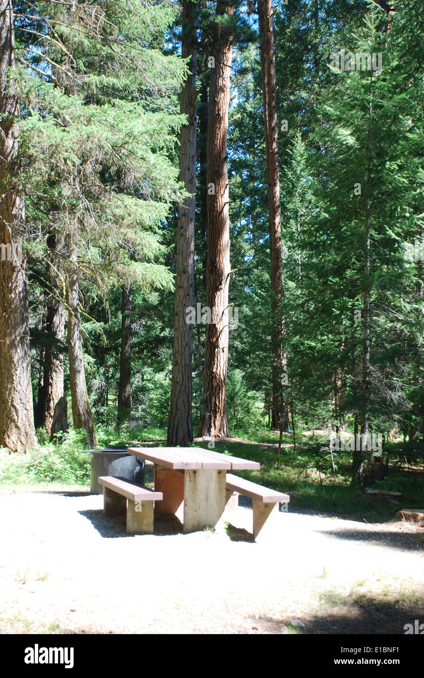 Sam Billings Campground liegt im Bitterroot National Forest und bietet einen malerischen Blick auf Painted Rocks Lake und Zugang zum West Fork Ranger District, einem beliebten Freizeitgebiet in Montana. Stockfoto