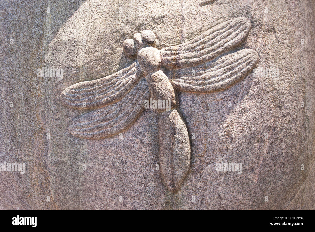 Libelle Skulptur aus Sandstein gehauen. Stockfoto