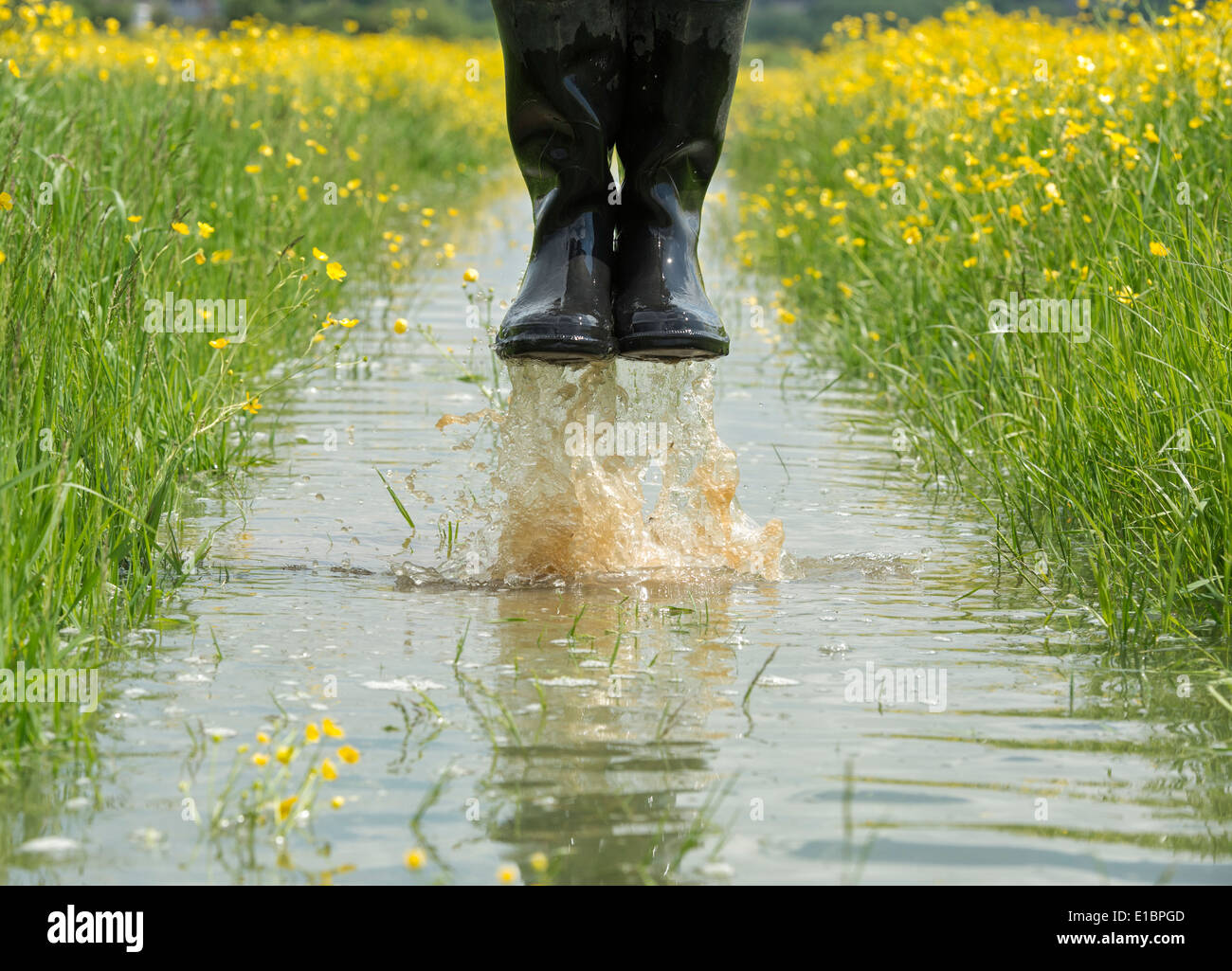 Mann in Wellington boots in Wasser in einem überschwemmten Feld springen. England Stockfoto