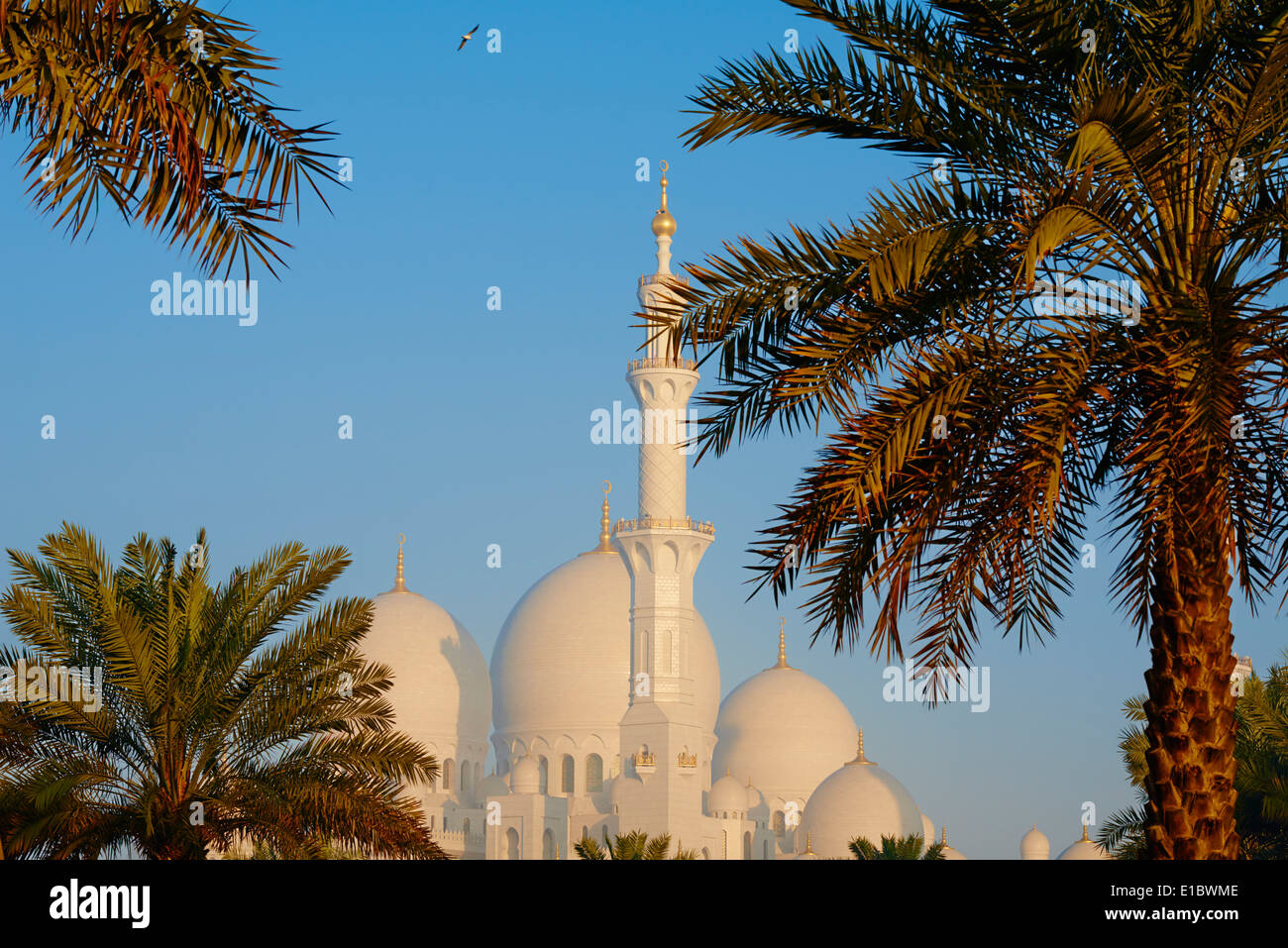 Vereinigte Arabische Emirate, Abu Dhabi, Scheich Zayed Grand Moschee Stockfoto