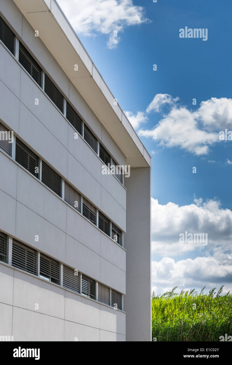 vorgefertigte Büroneubau mit weißen Fassade Stockfoto