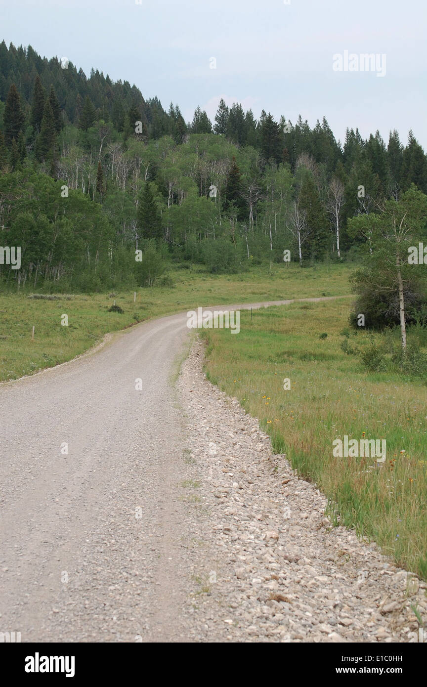 npnht-Red-Rock-Lakes-NWR-southvalleyrd-near-Upper-Red-Rock-Lake-07112012-rogermpeterson-001 Stockfoto