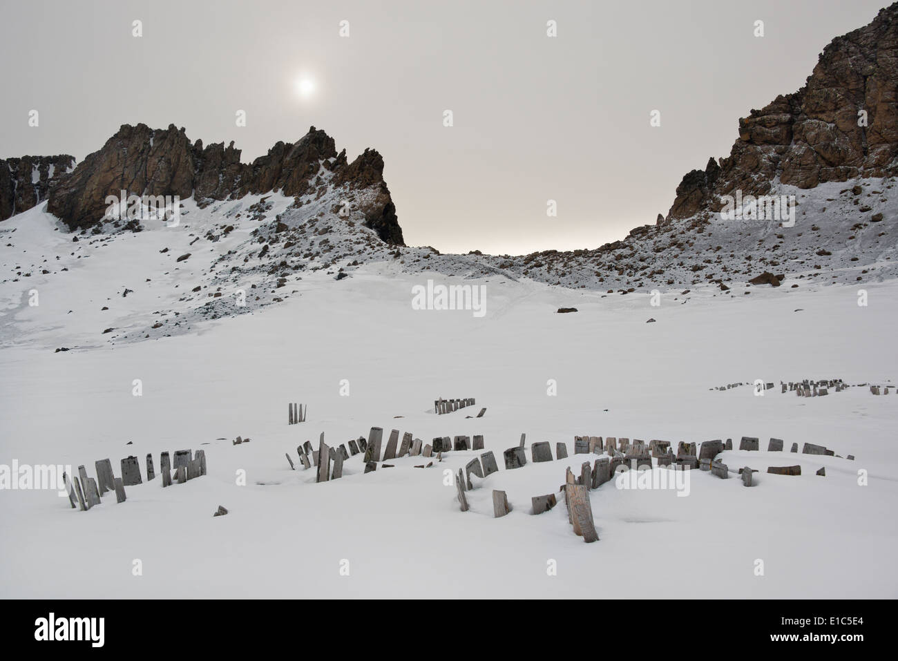 Die Holzlatten Wasserfässer aus dem Schnee in die ehemalige Walfangstation klebt. Stockfoto