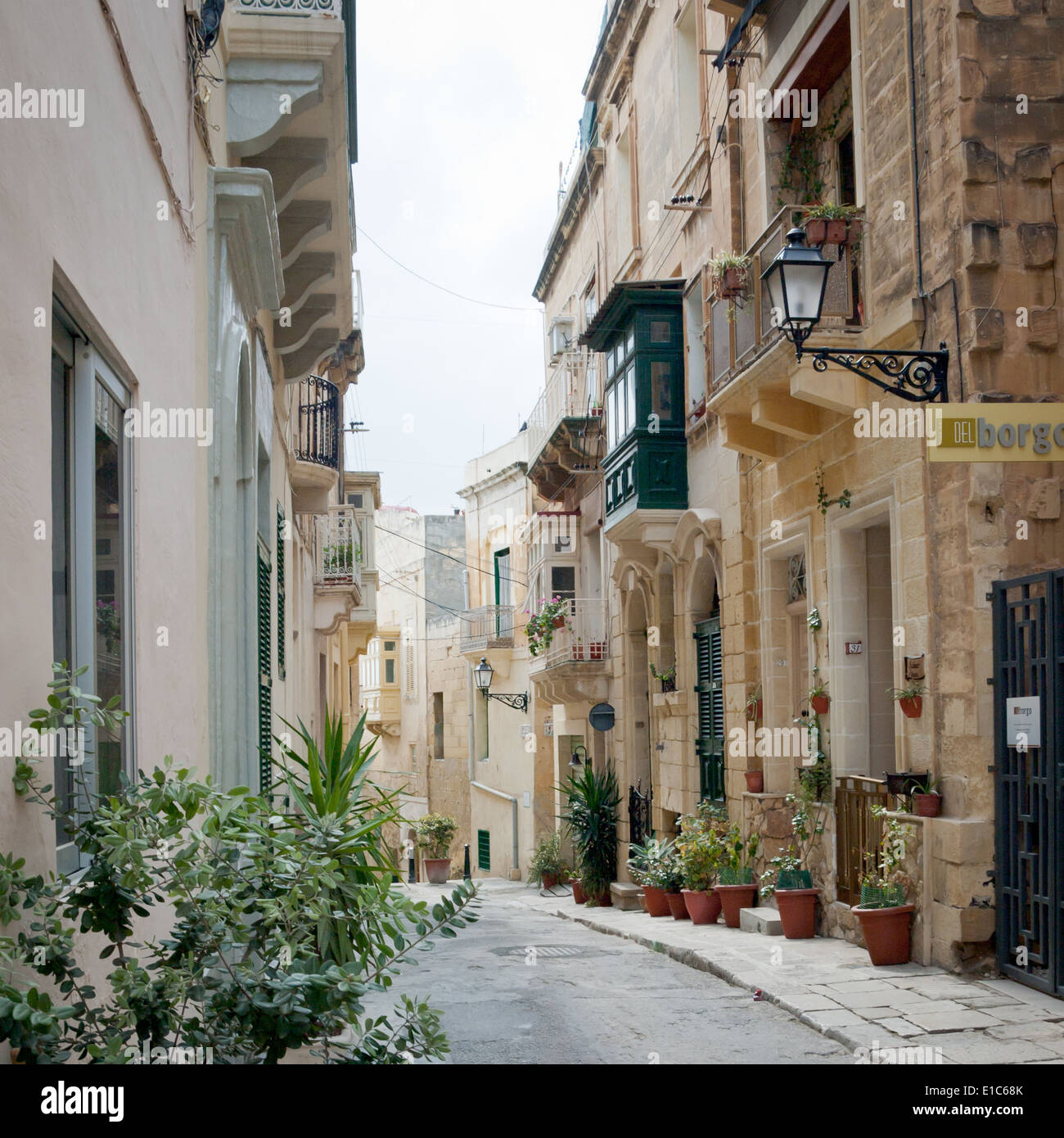 Pflanzen und Blumen in Terrakotta Töpfe säumen die ruhigen und angenehmen Straßen von Vittoriosa (Birgu), Malta. Stockfoto