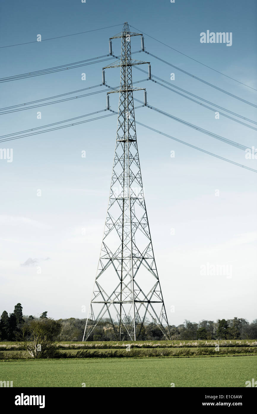 Strom Pylon in einem Feld, Großbritannien Stockfoto
