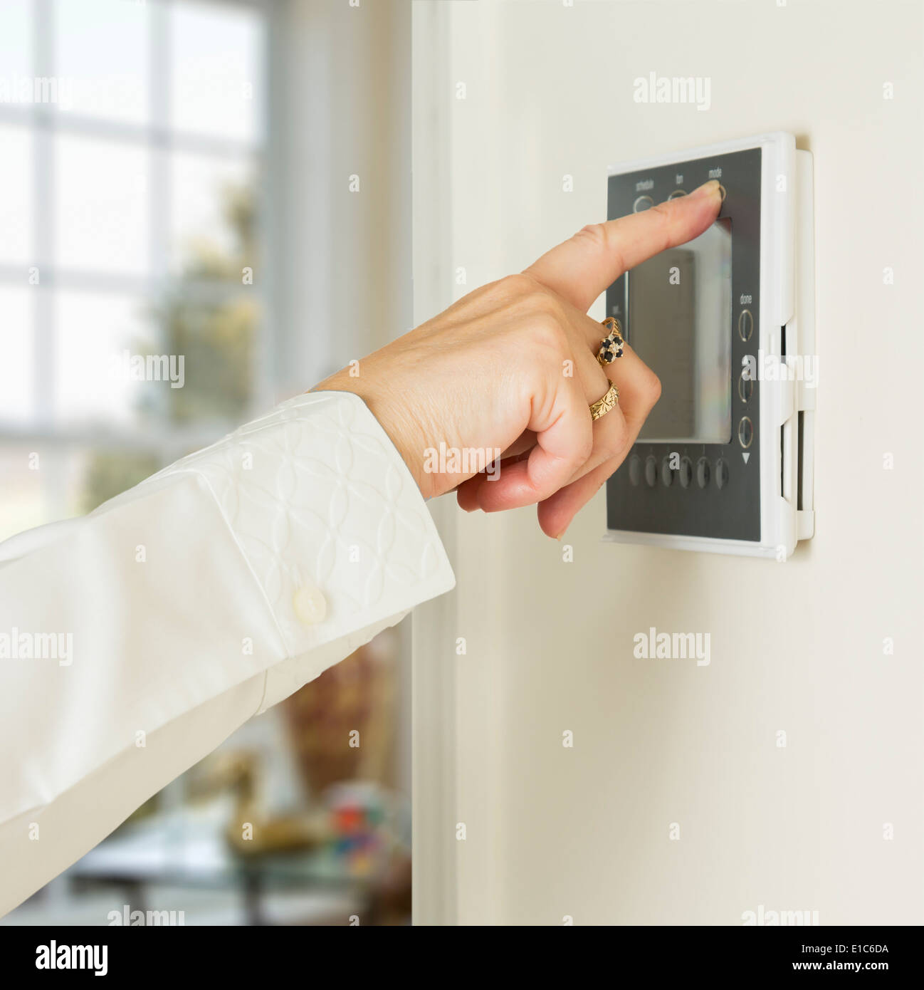 Nahaufnahme der Person, die den Thermostat am Heizkörper zum Frostschutz  dreht Schutz Stockfotografie - Alamy