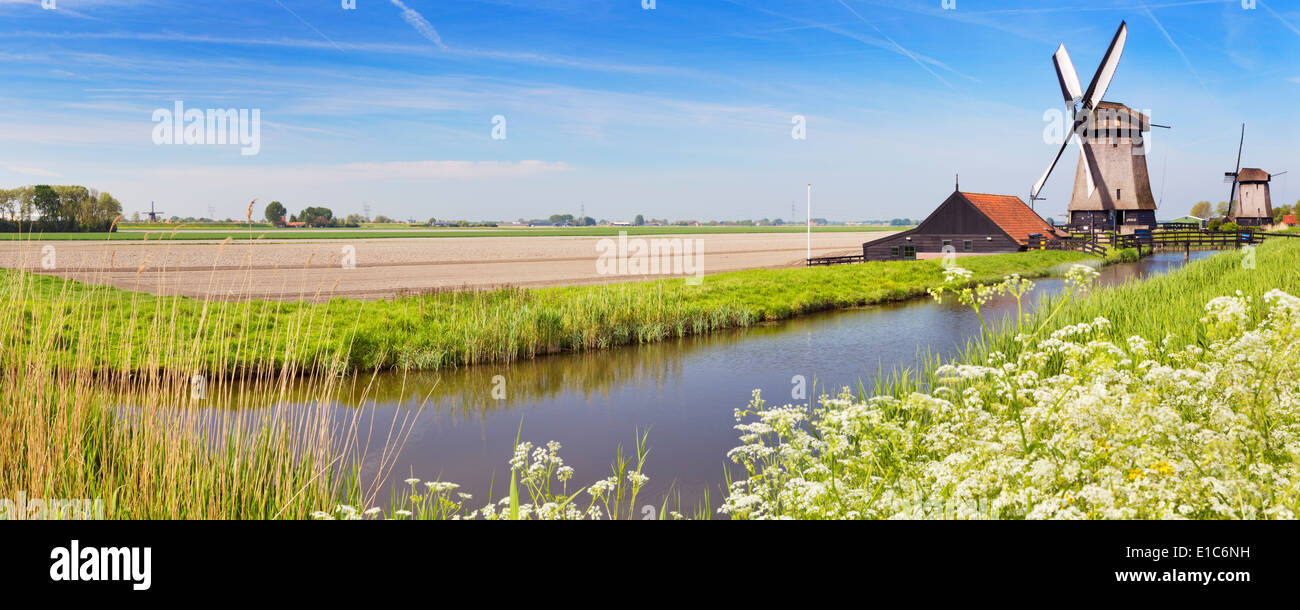 Traditionelle holländische Windmühlen an einem hellen, sonnigen Tag Stockfoto