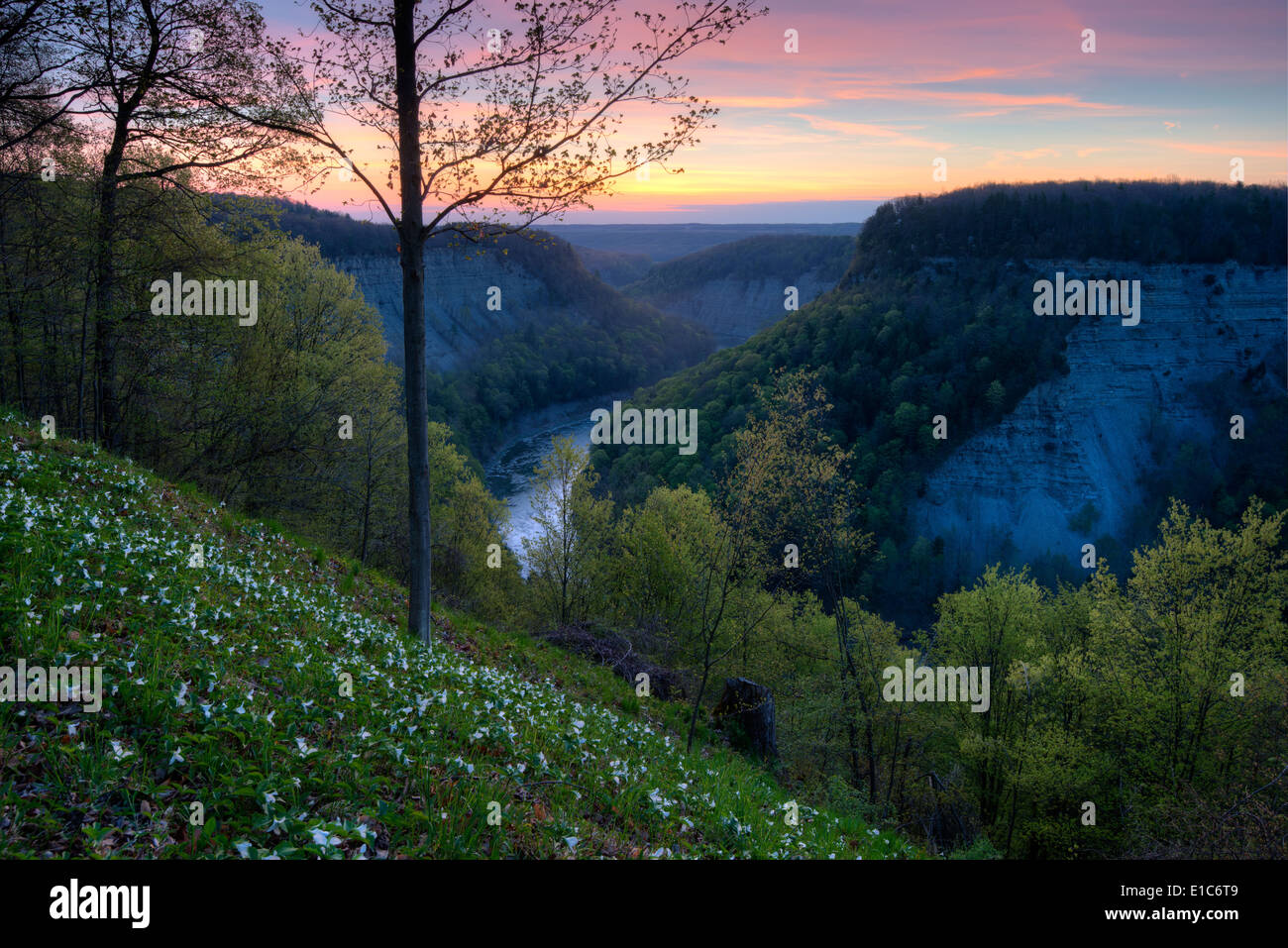 Letchworth State Park, New York Stockfoto