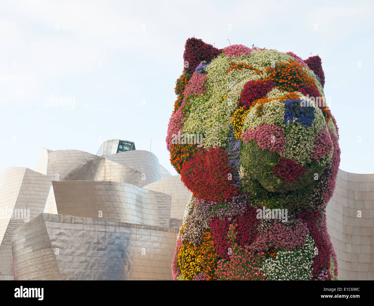 Welpe, eine florale Skulptur von Jeff Koons, steht Wache vor dem Guggenheim Museum Bilbao in Bilbao, Spanien. Stockfoto