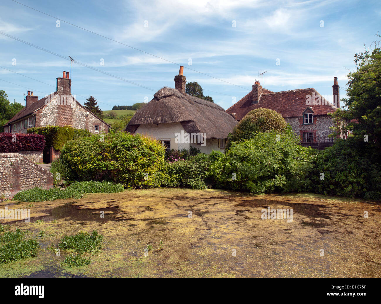 Die hübsche West Sussex Dorf Singleton Stockfoto