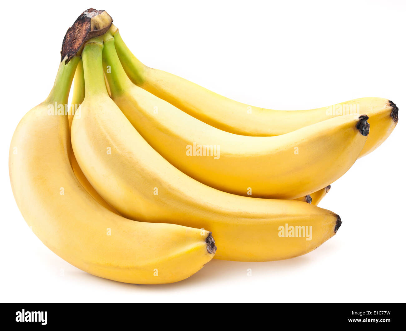 Bananen Früchte auf weißem Hintergrund. Stockfoto
