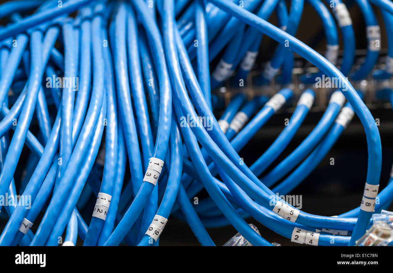 Große Gruppe von blauen Utp Kabel Internet mit Zahlen Stockfoto