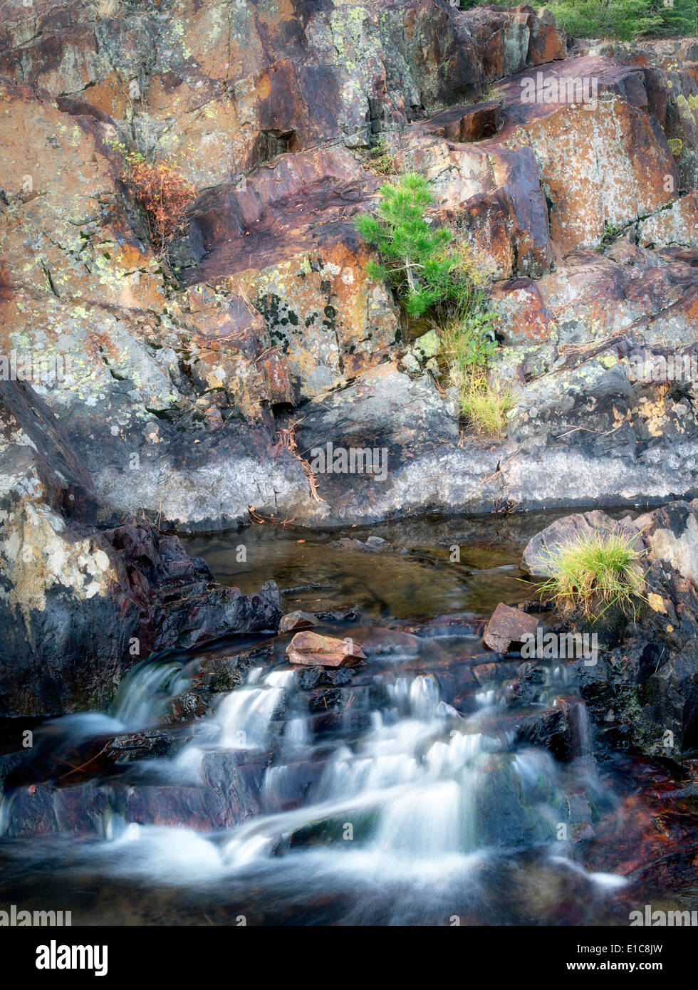 Kleiner Wasserfall mit Flechten bedeckt Felsen am Glen Alpine Creek in der Nähe von gefallenen Blätter See. California Stockfoto