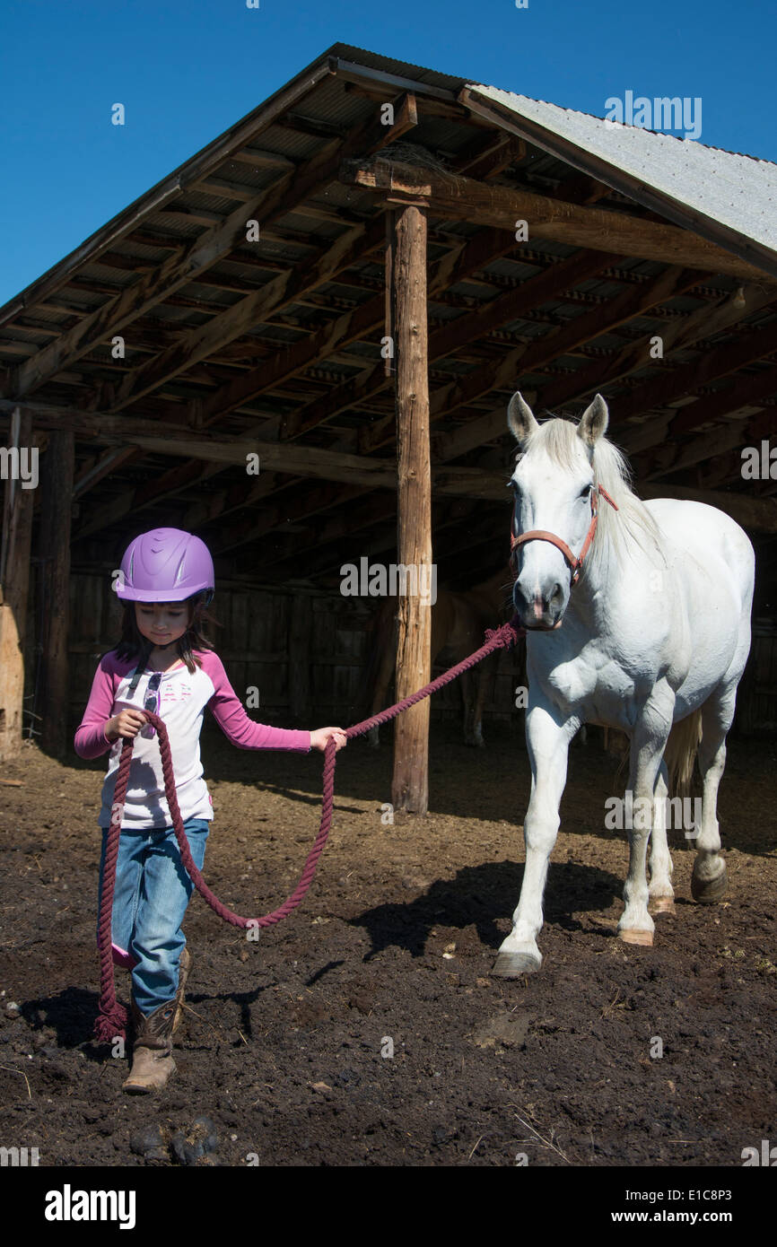 Eine 6-j hrige Cowgirl führt ihr Pferd aus dem Stall. Stockfoto