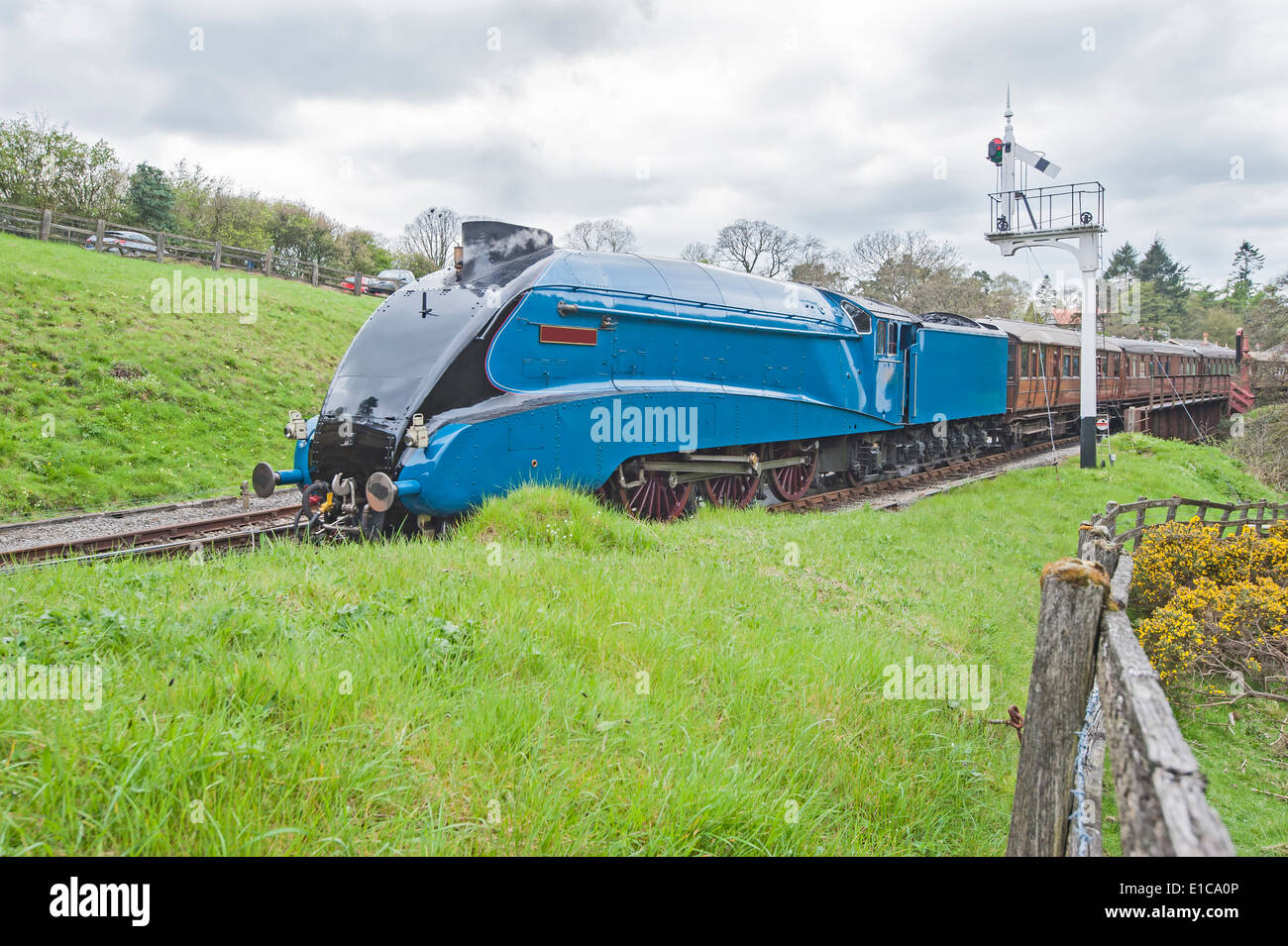 Alte englische Dampfzug unterwegs auf Schienen durch die ländliche Landschaft Landschaft Stockfoto