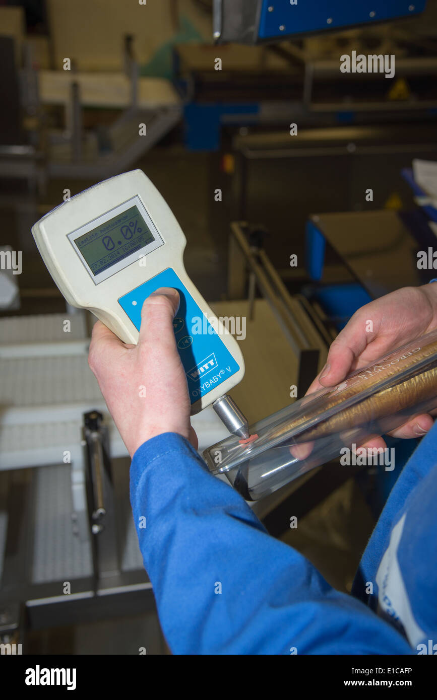 Kontrolle der richtigen Temperatur des verpackten Makrele in einer Verpackung-Zeile in der Fishindustry in Urk, Niederlande Stockfoto