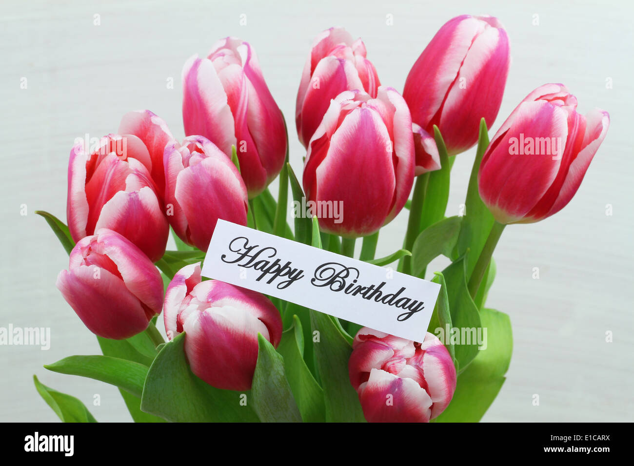 Alles Gute zum Geburtstagskarte mit rosa Tulpen Stockfoto