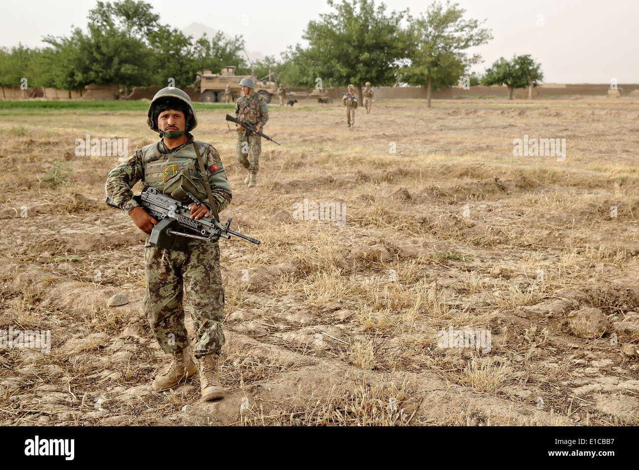 Afghan National Army Soldaten führen eine gemeinsame Patrouille mit US-Marines während einer Mission zur Niederschlagung von Aufständen 16. Mai 2014 in Larr Dorf, Provinz Helmand, Afghanistan. Stockfoto