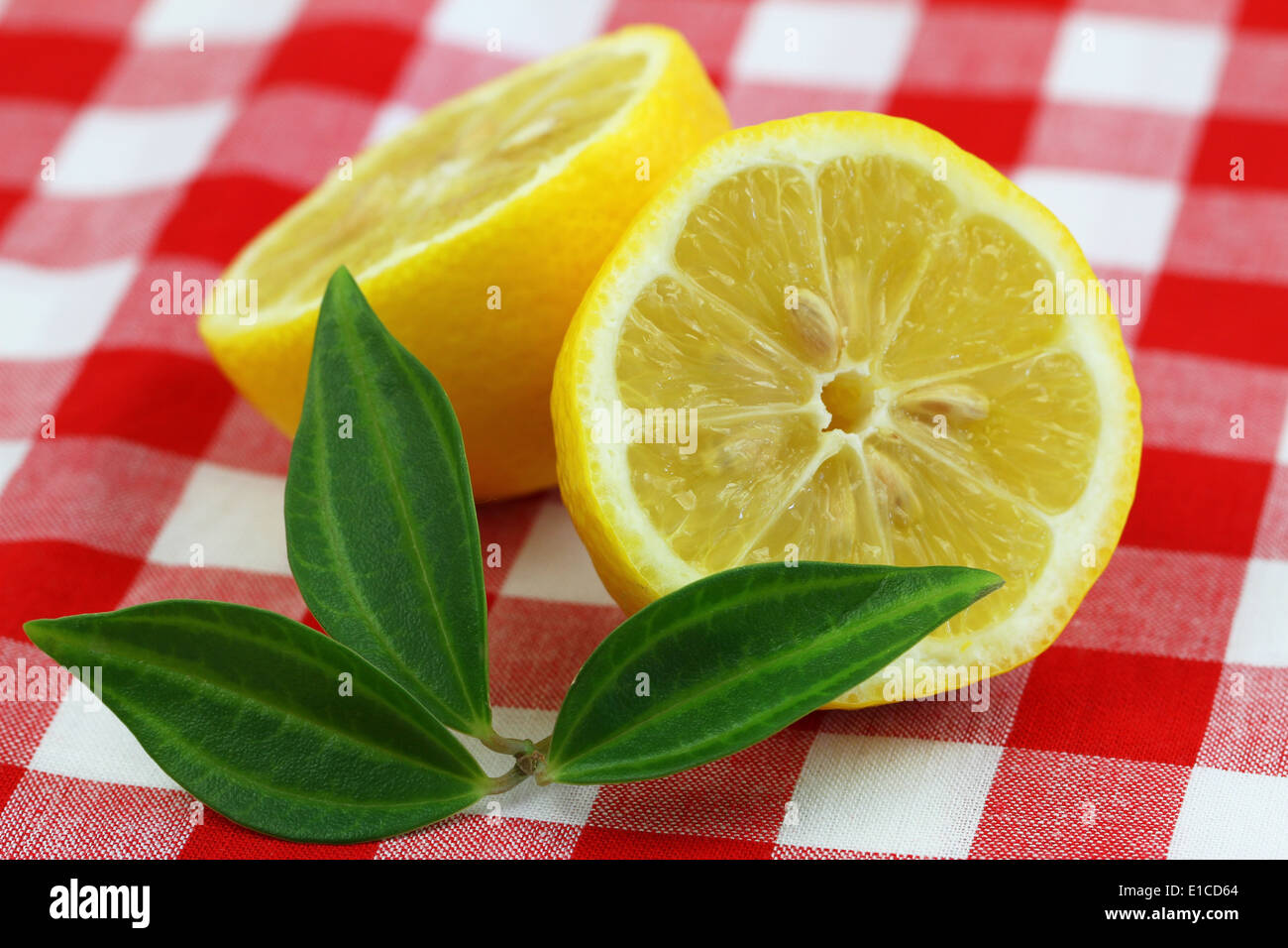 Zitrone-Hälften auf kariertem Stoff Stockfoto