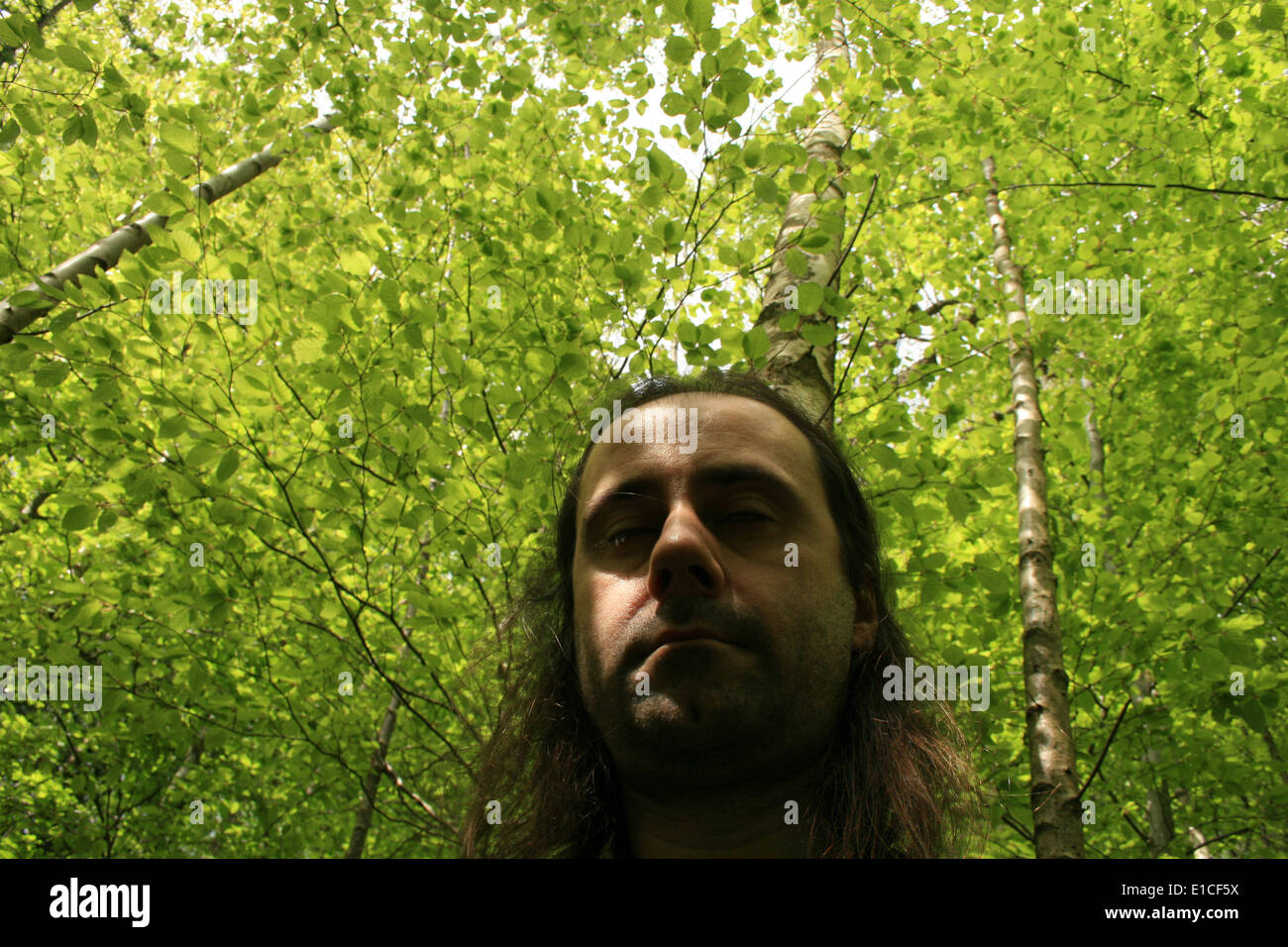 Meditieren im Wald Stockfoto