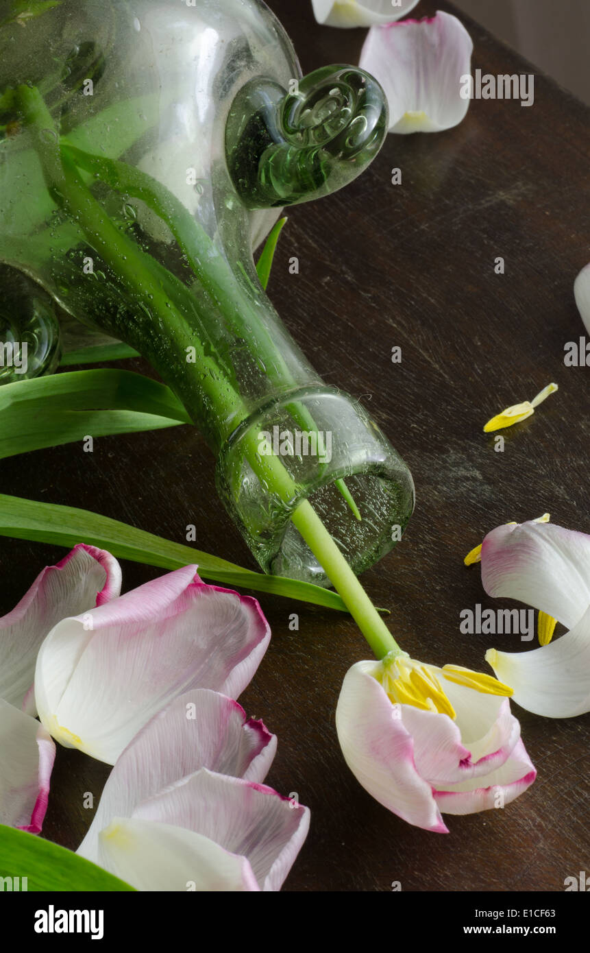 Stillleben mit grünen Flasche und Tulpe Blumen Stockfoto