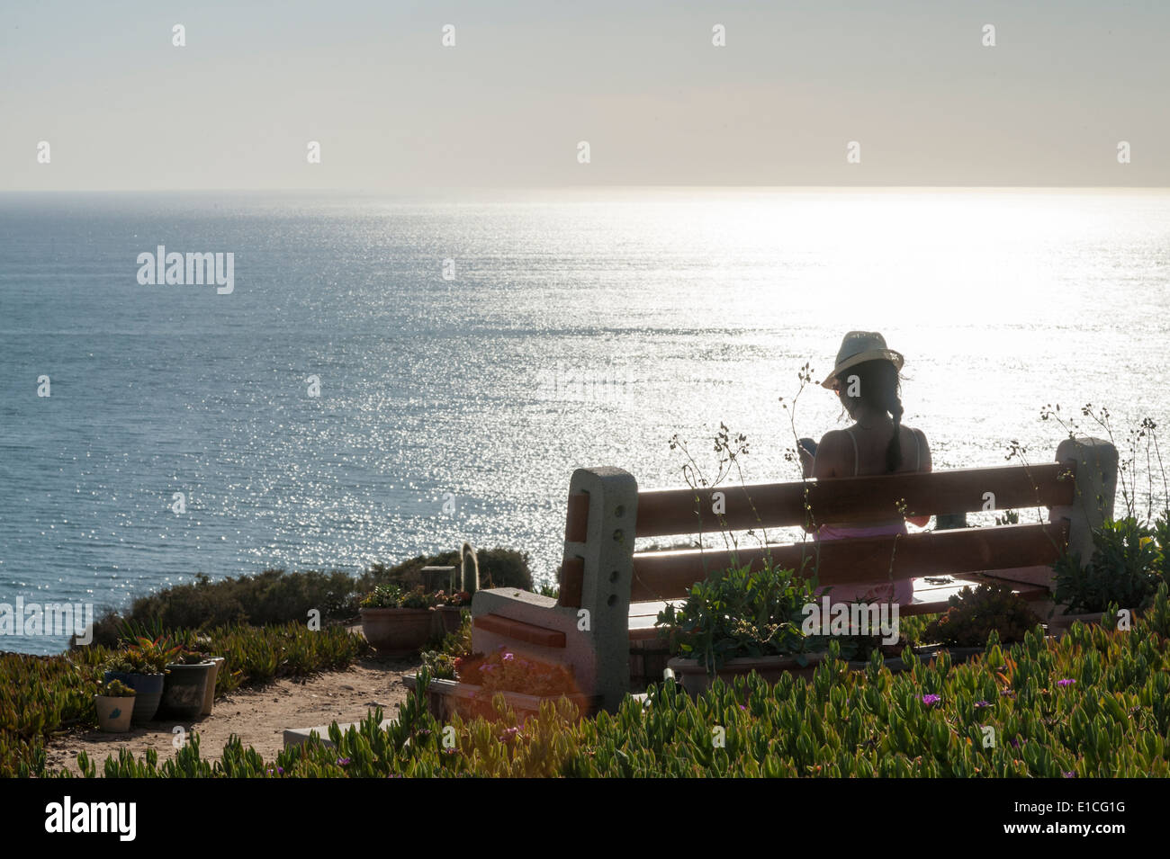 Klippen über Blacks Beach, La Jolla, CA Stockfoto