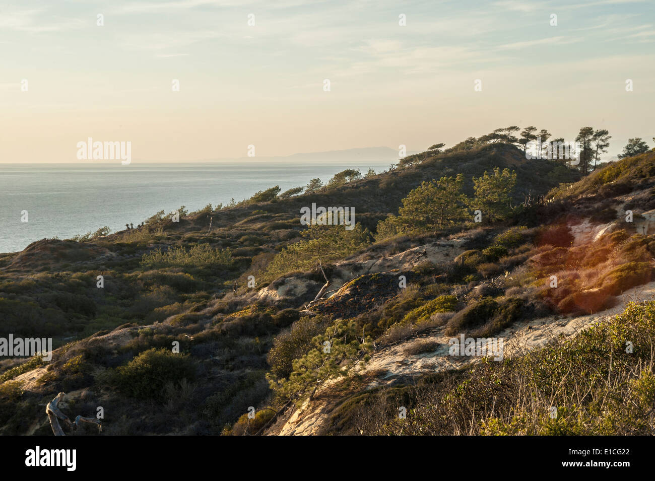 Klippen und Sonnenuntergang über dem Pazifischen Ozean im Torrey Pines State Park, La Jolla, Kalifornien Stockfoto