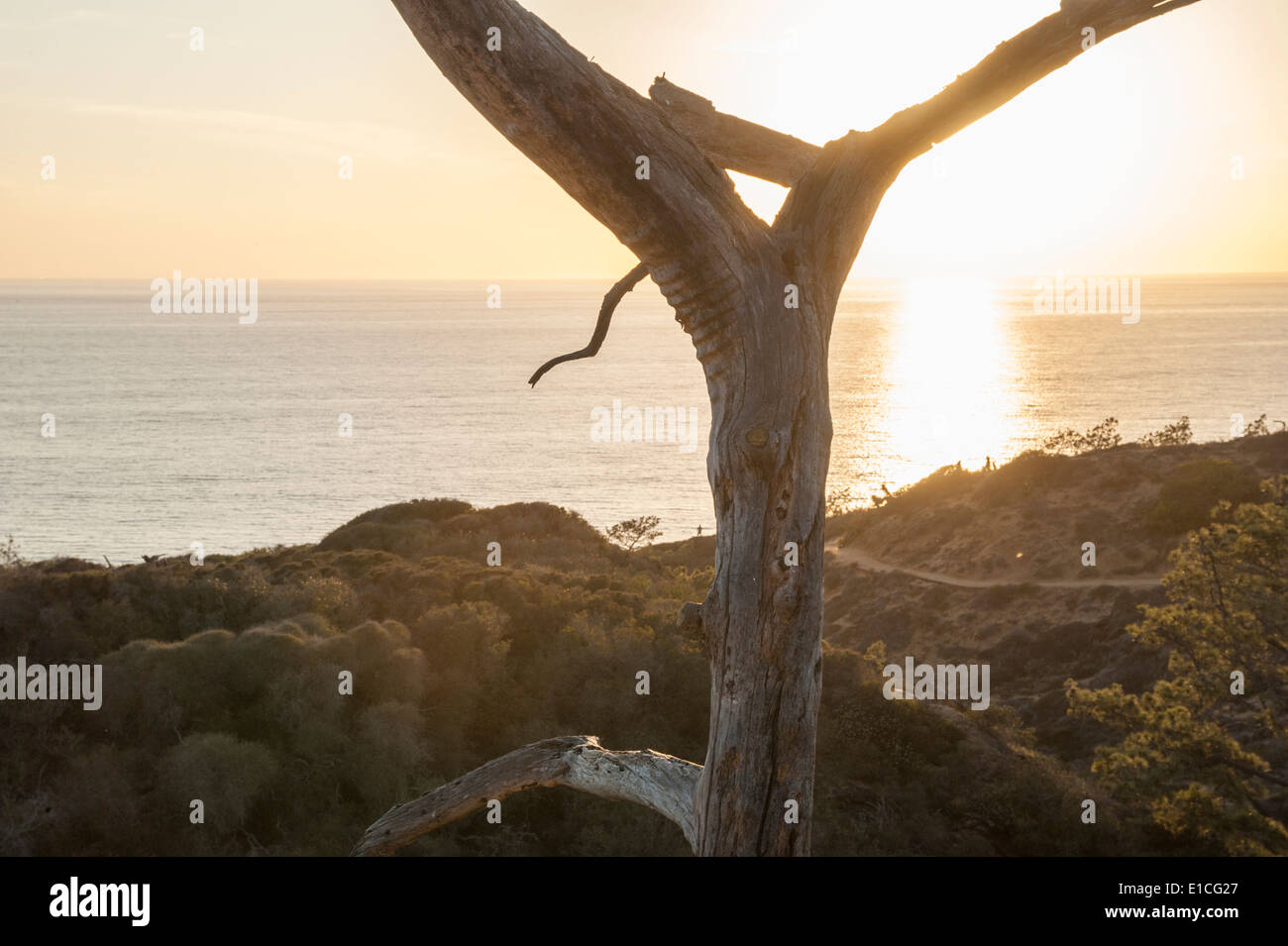 Klippen und Sonnenuntergang über dem Pazifischen Ozean im Torrey Pines State Park, La Jolla, Kalifornien Stockfoto