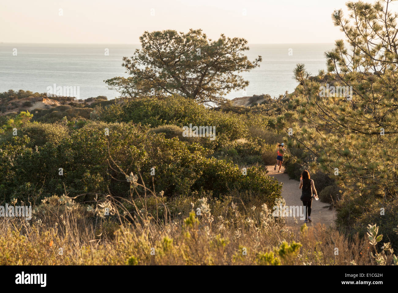 Jogger auf Trails im Torrey Pines State Park, La Jolla, Kalifornien Stockfoto