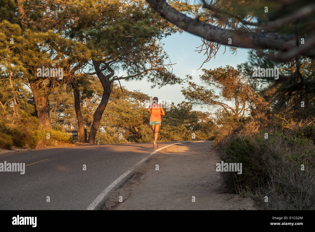 Frau Jogger im Torrey Pines State Park, La Jolla, Kalifornien Stockfoto
